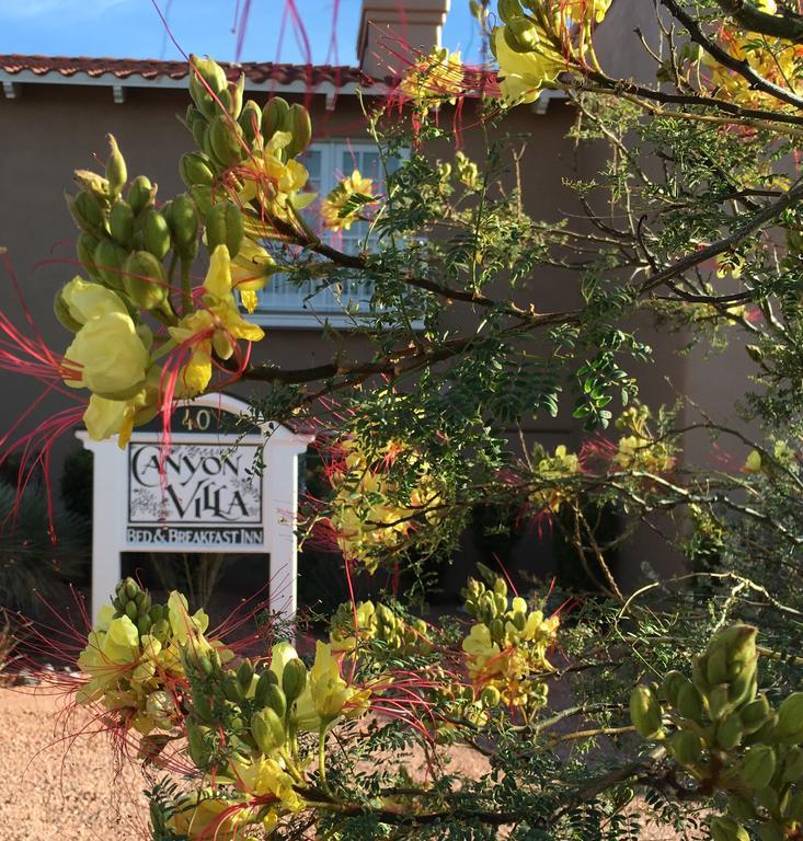 Canyon Villa Bed & Breakfast Inn Of Sedona Ngoại thất bức ảnh